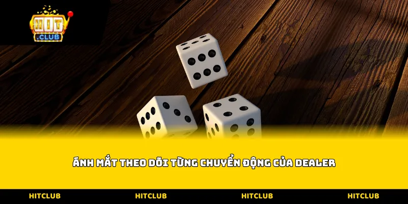 Ánh mắt theo dõi từng chuyển động của Dealer