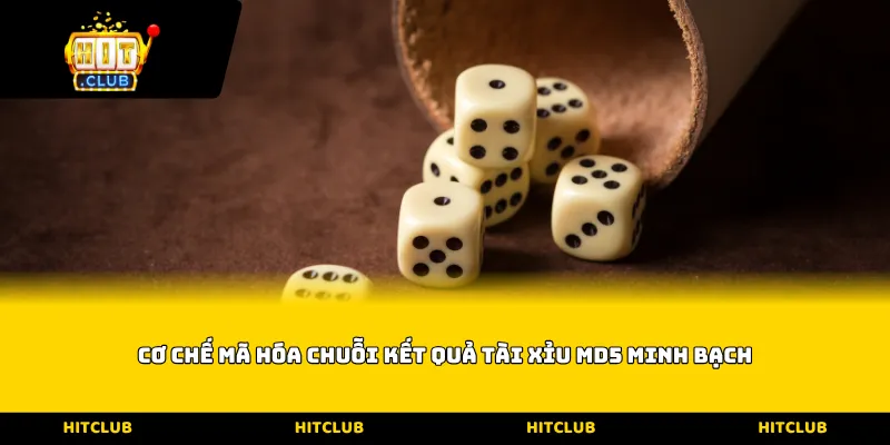 Cơ chế mã hóa chuỗi kết quả Tài xỉu MD5 minh bạch
