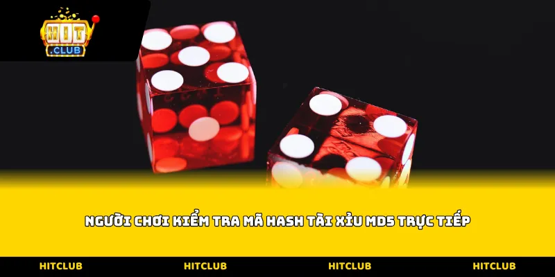 Người chơi kiểm tra mã hash Tài xỉu MD5 trực tiếp