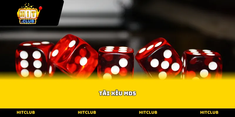 Tài xỉu MD5